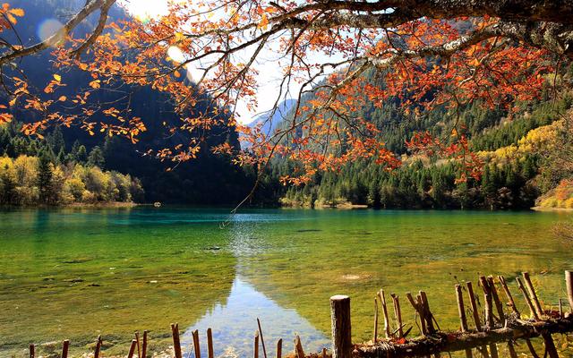 阿尔山自驾旅游线路：探索内蒙古秘境的完美自驾攻略
